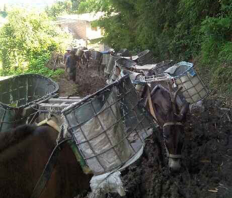 龙岗区马帮搬运