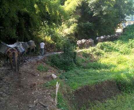 龙岗区马帮运输队