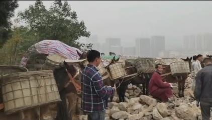 龙岗区骡马山区运输