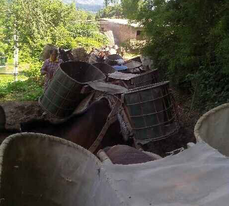 龙岗区骡马运输队