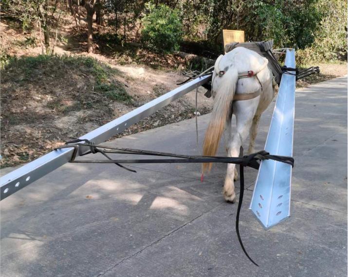 龙岗区马队搬运