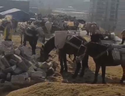 龙岗区马队山路运输