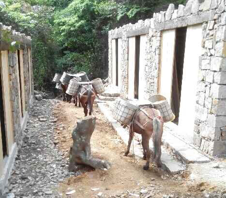 龙岗区马队运输队