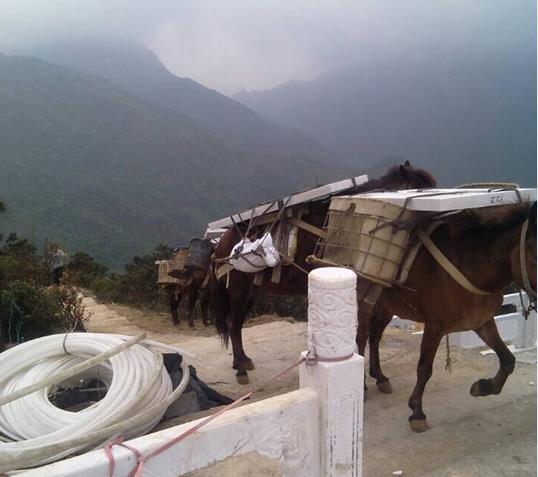 龙岗区山区马帮运输